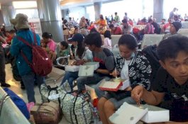 209 Pengungsi Sulsel dari Wamena Kembali Tiba di Makassar