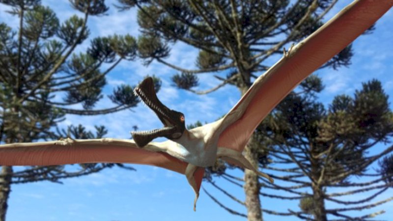 Fosil Hewan Purba Terbang Terbaru Ditemukan di Australia