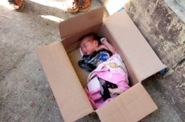 Sudah Diberi Nama, Bayi Terbungkus Kardus Ditemukan di Dekat Indekos