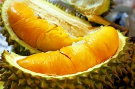 Pilot Nyatakan Darurat saat Penerbangan Gara-gara Aroma Durian