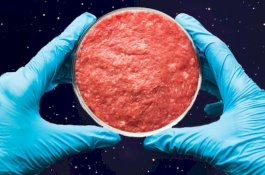 Astronot Berhasil 'Menanam' Daging Sapi di Luar Angkasa