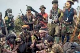 OPM Klaim Bupati Puncak Tawari Uang Tutup Mulut