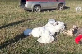 2 Parasutnya Gagal Terbuka, Pria Terjun Bebas dari Ketinggian 800 M