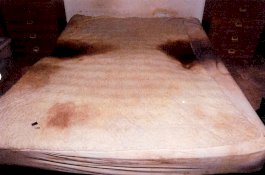 Wanita 72 Tahun Dibiarkan Sekarat di Atas Kasur Penuh Urin oleh Putra-putranya