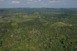 2.000 MBR di Penajam Paser Utara Dapat Jatah 2.000 Sambungan Air Bersih