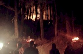 Kawasan Hutan Lindung Rumbia Terbakar di Jeneponto, Dini Hari Api Berhasil Dipadamkan