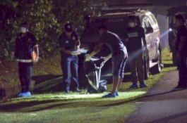 Pemotong Rumput Cium Bau Busuk, Saat Mengendus Parit Ada Jasad Terpotong Delapan