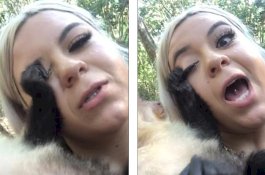 Selfie Dengan Monyet, Bulu Mata Palsu Wanita ini Ditarik