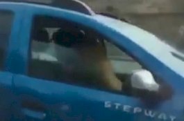 Mobil di Depan Zig-zag, Ternyata Sopirnya Bercumbu Sambil Nyetir