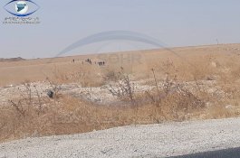 Lebih 700 Pengantin ISIS dan Anak-anaknya Kabur dari Kamp di Suriah