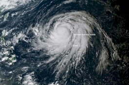 Hingga Senin Pagi, 35 Warga Tewas Akibat Topan Hagibis di Jepang