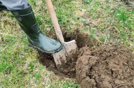 Gali Lubang untuk Kuburkan Anak, Pria Ini Temukan Pot Berisi Bayi yang Masih Hidup