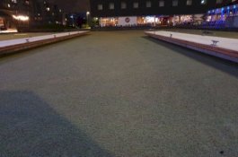 Dikira Rumput Padahal Tertutup Alga, Banyak Orang Jatuh di Kanal ini