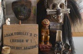 Jual Tengkorak di Ebay, Pria ini Dihukum Penjara