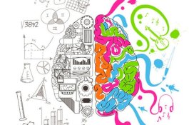 Banyak Mitos, Ini Pengaruh Otak Kiri dan Kanan yang Sebenarnya