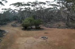 3 Hari Hilang di Hutan, Wanita ini Ditemukan Berkat Tulisan 'SOS'