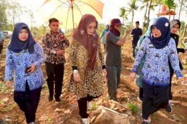 Lies F Nurdin Panen Talas Satoimo Bersama Petani Desa Tanralili Maros