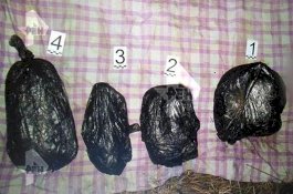 Kucingnya Dibunuh, Wanita Ini Cincang Pacarnya Pakai Gergaji