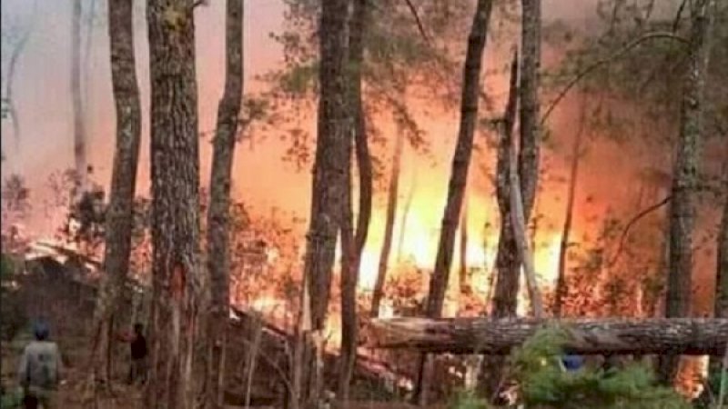 Kebakaran di hutan Lompobattang.