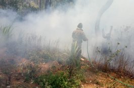 Luas Lahan Hutan Terbakar di Bawakaraeng Hingga 10 Hektar