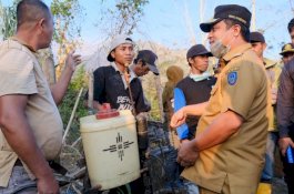 Wagub Sulsel Kunjungi Lokasi Kebakaran di Gunung Bawakaraeng