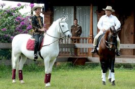 Ini Kata-Kata Prabowo yang Membuat Jokowi Angkat sebagai Menteri Pertahanan