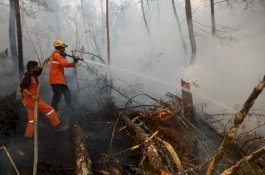 75 Hektare Lahan Bawakaraeng Terbakar, Nurdin Abdullah: Jangan Merokok Masuk Hutan