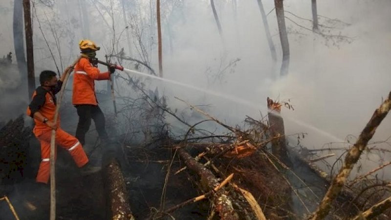 Manggala Agni berusaha memadamkan kebakaran di Gunung Lompobattang.