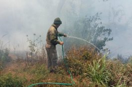 Manggala Agni Sulit Prediksi Embusan Angin di Lokasi Karhutla