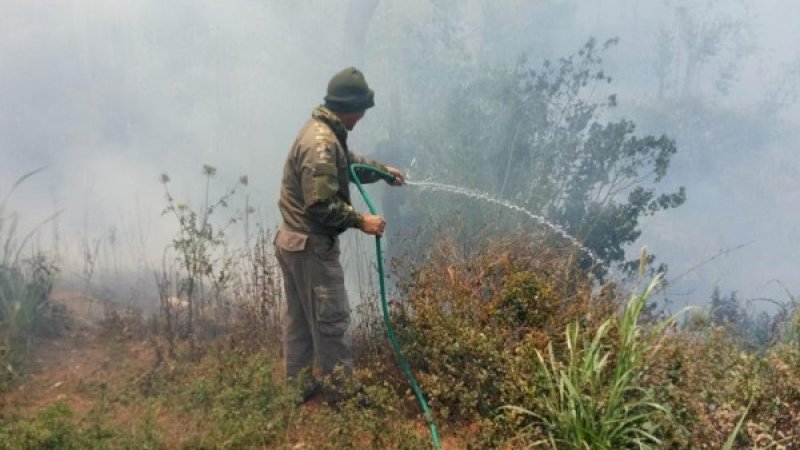 Kebakaran hutan dan lahan di Lompobattang.