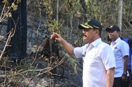 Wabup Gowa: Pantang Pulang Sebelum Api Padam