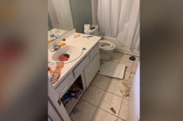 Hidup Bersama 245 Hewan, 3 Anak Diselamatkan Dari Rumah Jorok