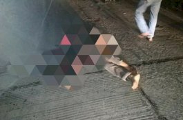 Kecelakaan Mengerikan di Pinrang, Kepala Korban Putus