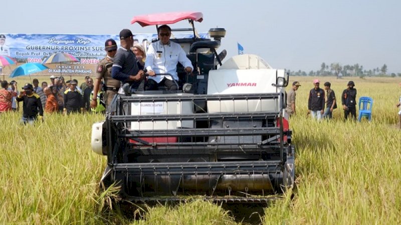 Gubernur Sulsel, Nurdin Abdullah saat panen raya di Pinrang.