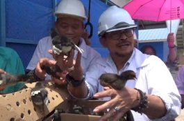 Kebutuhan Daging Tak Ada Habisnya, Mentan SYL Apresiasi Peternakan Unismuh