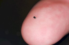 Ini Kamera Terkecil di Dunia