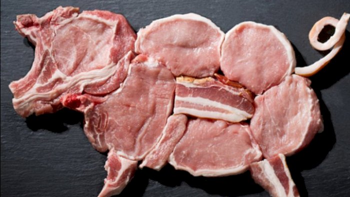 Alasan Mengapa Babi Diharamkan Dalam Islam