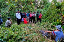 Menghilang 12 Hari, Warga Bone Ditemukan Tak Bernyawa di Perkebunan Jati