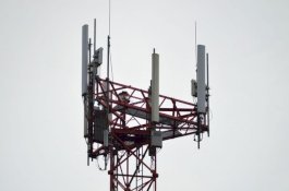 Tidak Mati-Mati Setelah Berkali-kali Bunuh Diri, Pria Ini Panjat Menara Seluler demi Bujuk Istri