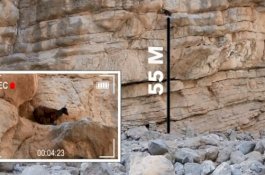 5 Hari Terjebak di Gunung Batu, Ini Video Penyelamatan Kambing dari Ketinggian 55 Meter