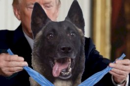 Duh, Trump Posting Foto Editan Seolah Memberikan Medali Pada Anjing Pahlawan
