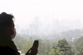 Polusi Udara Bisa Picu Kerontokan Rambut