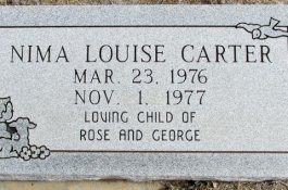 Misteri Bayi Menghilang dari Rumah Terkunci, Mayatnya Ditemukan di Kulkas Rumah Kosong