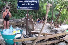 Gagal Libur, Wisatawan di Thailand Malah Dikerja Monyet