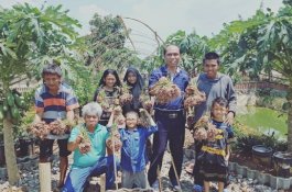 Bawang Merah Nonpestisida dari Yayasan MAROS