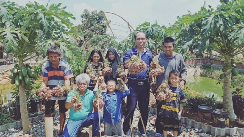 Pengurus Yayasan MAROS dan beberapa anak-anak, tampak riang memamerkan bawang nonpestisida.