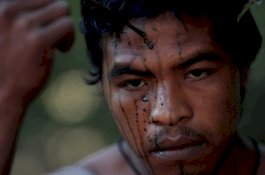 Paulo Paulino Guajajara, Pemimpin Suku dan Penjaga Hutan Amazon yang Dibunuh Pembalak Liar