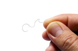 Mungkin Ini Penyebab Rambut Kemaluan Tak Pernah Lurus