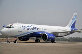 Server IndiGo Bermasalah, Antrean Panjang Tak Terelakkan di Bandara