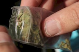 Lebih 18 Tahun Ganja Selundupan Bersarang di Hidung Pria Ini